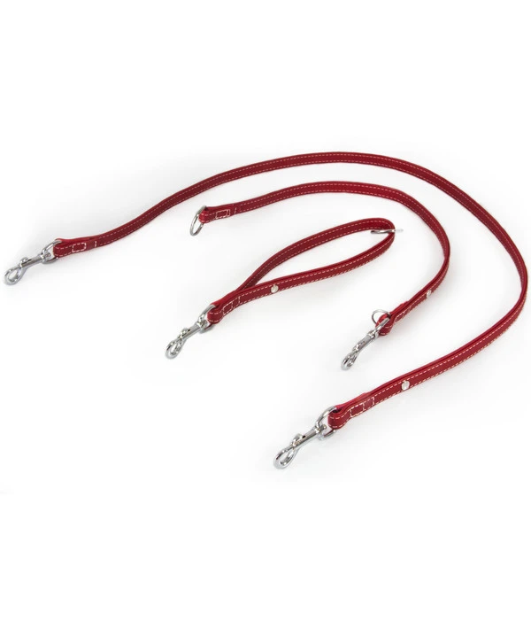 Das Lederband Universal-Hundeleine Olivvia Barcelona Indian-Red 3 Das Lederband Universal-Hundeleine Olivvia Barcelona Indian-Red