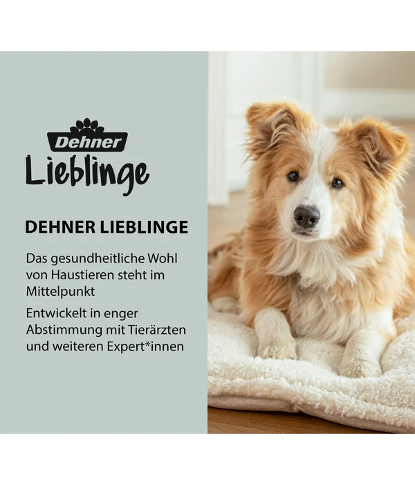 Dehner Lieblinge Kokolaurin Anti-Zecken-Spray Katze 4 Dehner Lieblinge Kokolaurin Anti-Zecken-Spray Katze – Bild 2