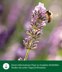 Dehner Natura Insektenhotel Locarno, Ca. B22,5/H29/T14 Cm -Gartenmöbel Geschäft WE IG FlyergrafikDehnerNaturaInsektenhotelsNisthilfen 4